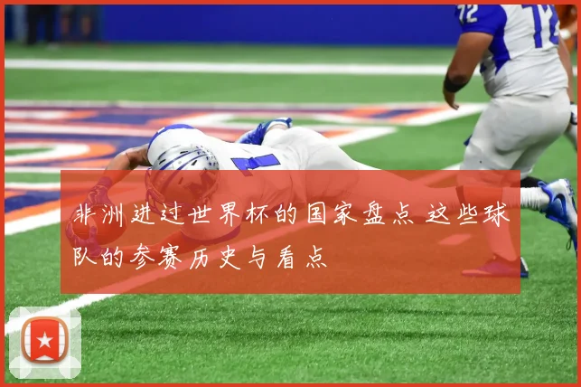 非洲进过世界杯的国家盘点 这些球队的参赛历史与看点