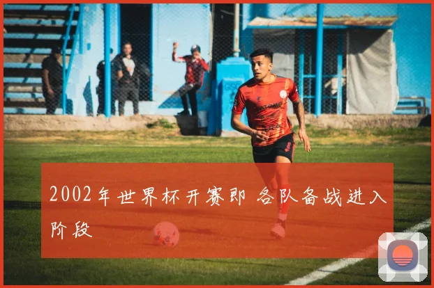 2002年世界杯开赛即 各队备战进入阶段