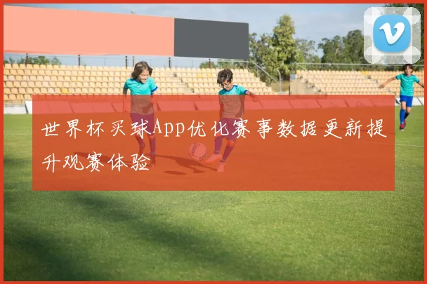 世界杯买球App优化赛事数据更新提升观赛体验