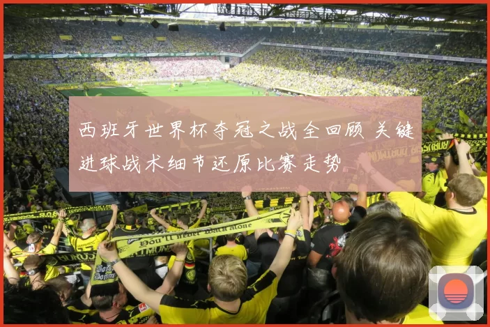 西班牙世界杯夺冠之战全回顾 关键进球战术细节还原比赛走势