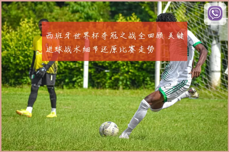 西班牙世界杯夺冠之战全回顾 关键进球战术细节还原比赛走势