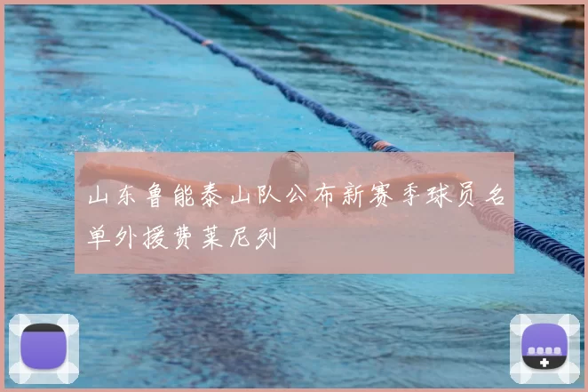 山东鲁能泰山队公布新赛季球员名单外援费莱尼列