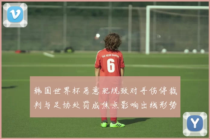 韩国世界杯恶意犯规致对手伤停裁判与足协处罚成焦点影响出线形势